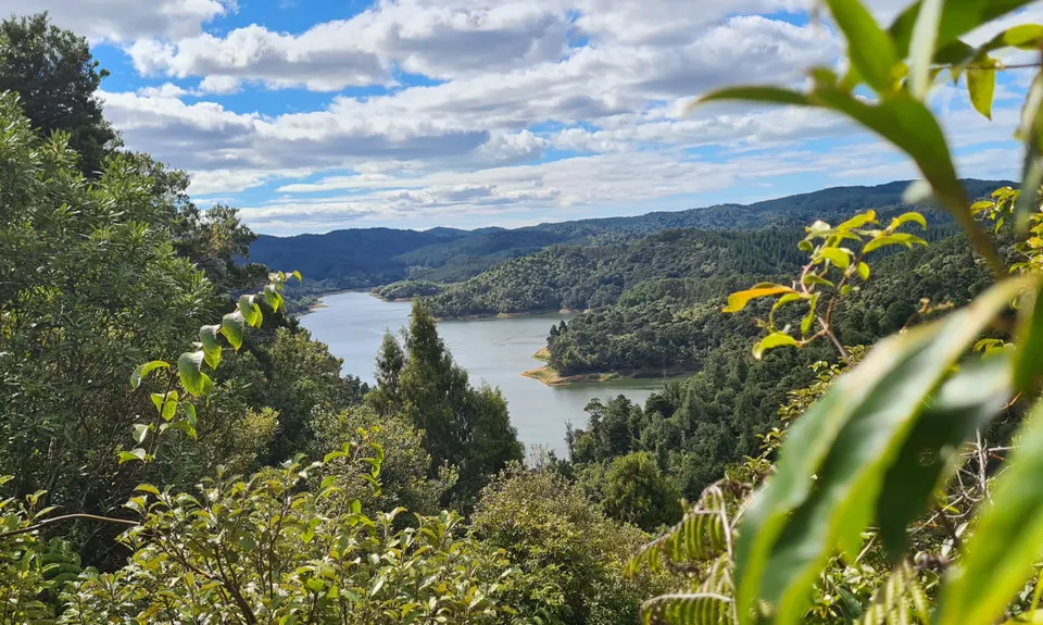 Hunua Falls - Cossey Massey Loop, Auckland