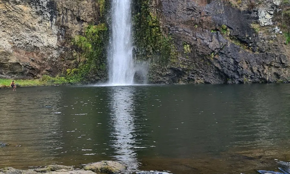 Hunua Falls - Cossey Massey Loop, Auckland