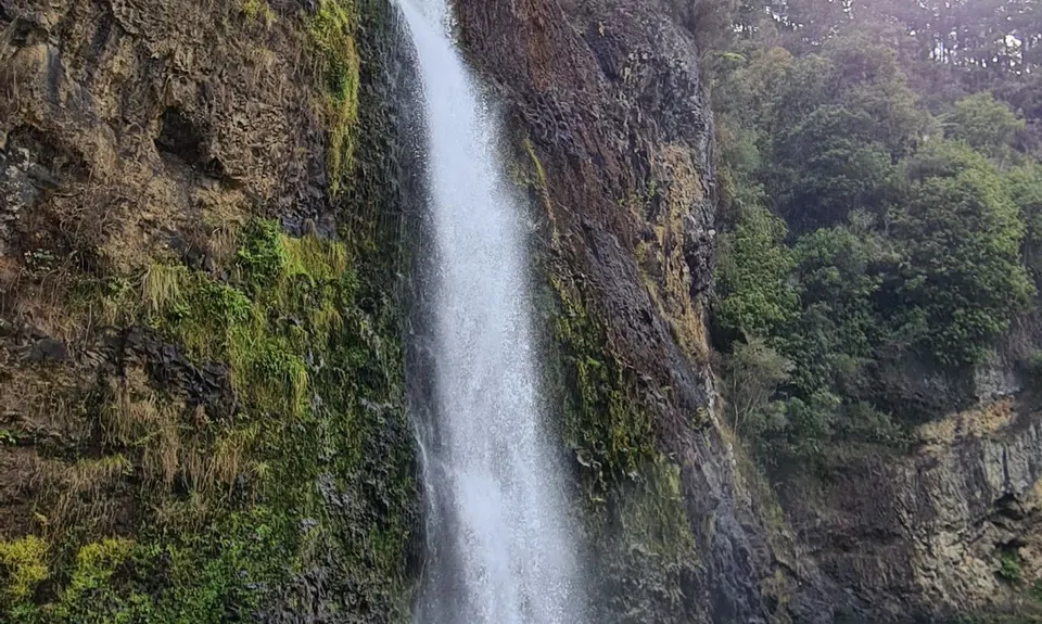 Hunua Falls - Cossey Massey Loop, Auckland