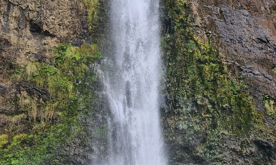 Hunua Falls - Cossey Massey Loop, Auckland