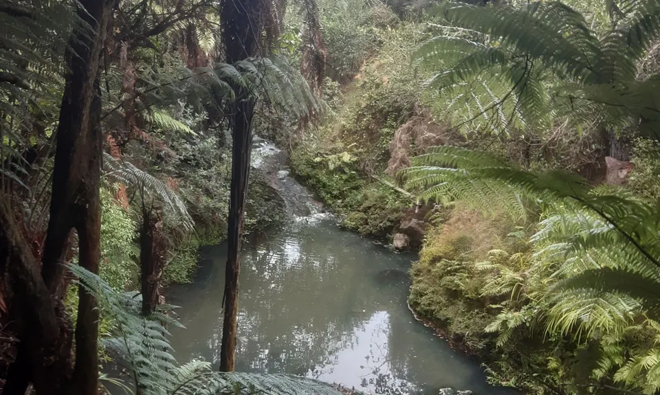Fernhill & Burnside Escarpments, Auckland