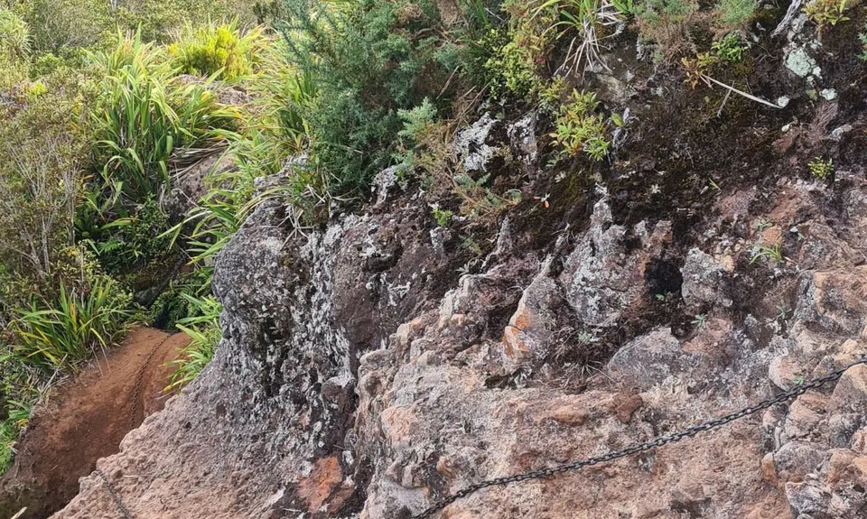 Pirongia