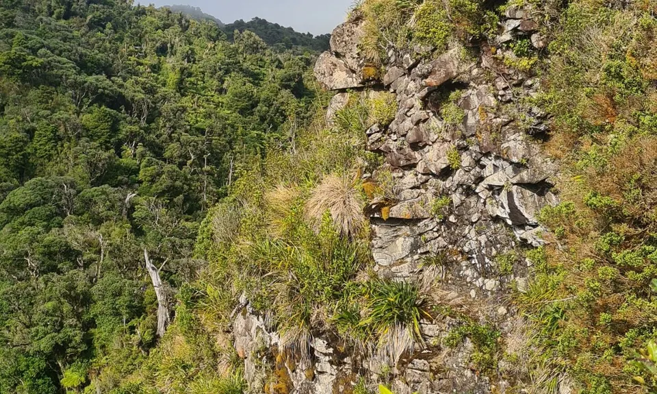 Pirongia