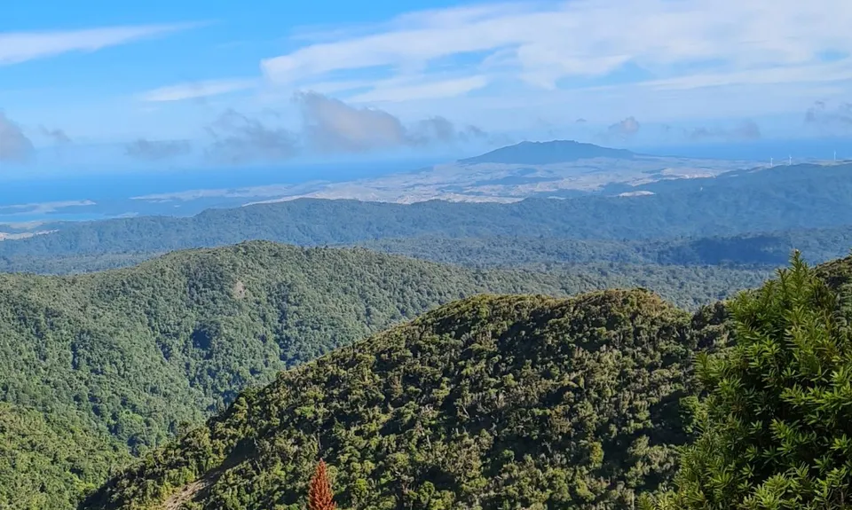 Pirongia