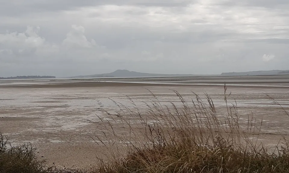 Whitford Coastal Trail Loop , Auckland