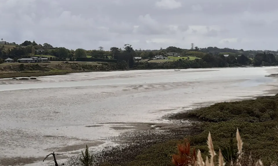 Whitford Coastal Trail Loop , Auckland