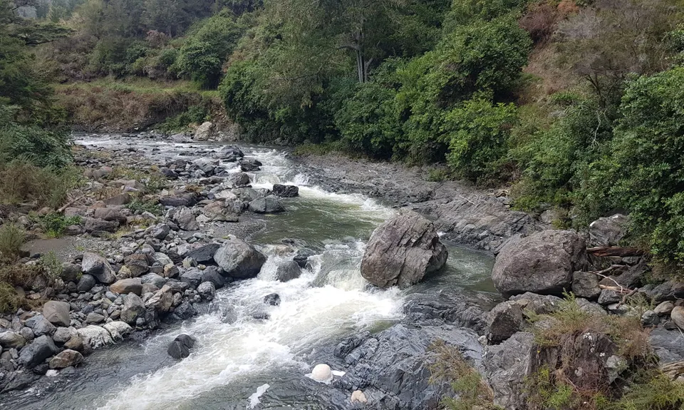 Hacket Hut & Whispering Falls, Tasman