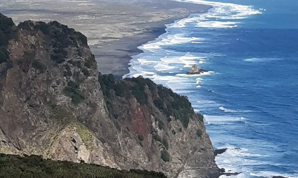 Mercer Bay Magic, Auckland
