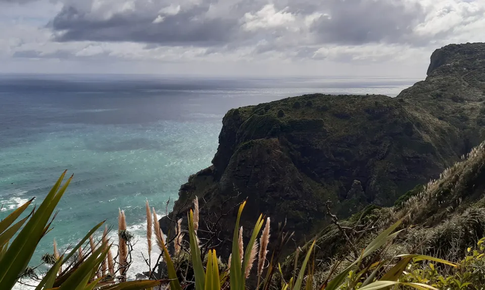 Mercer Bay Magic, Auckland