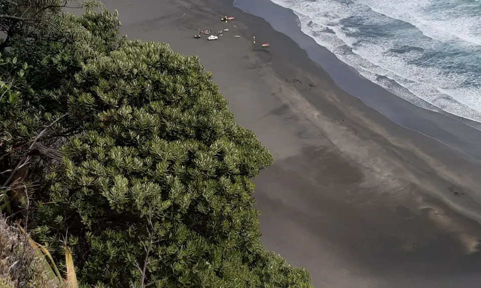 Mercer Bay Magic, Auckland