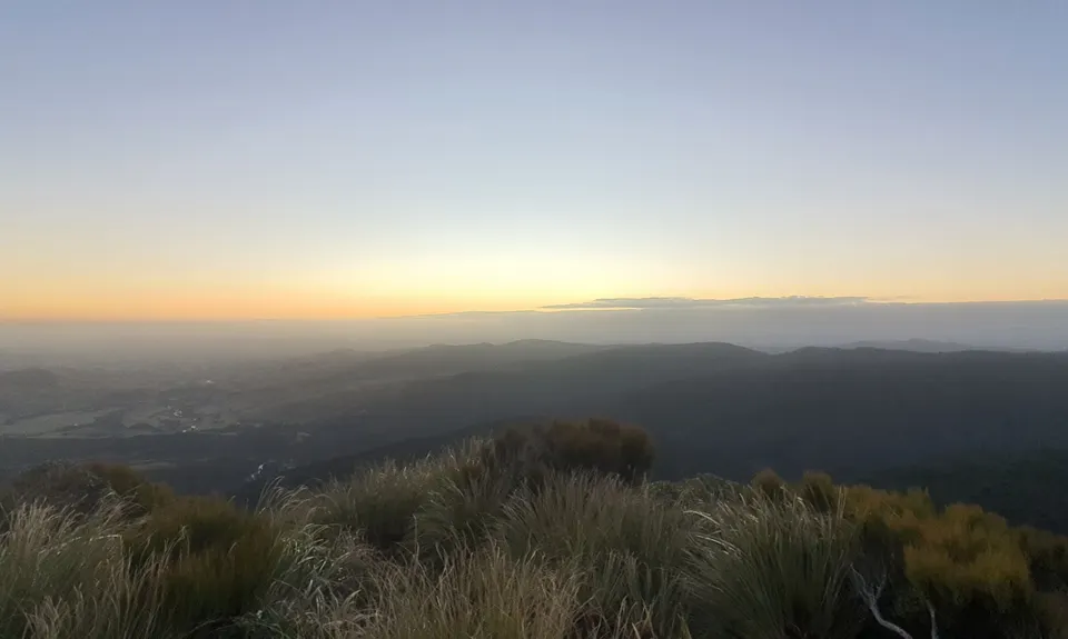 Herepai, Dundas, Cattle Ridge Loop, Manawatu - Wanganui