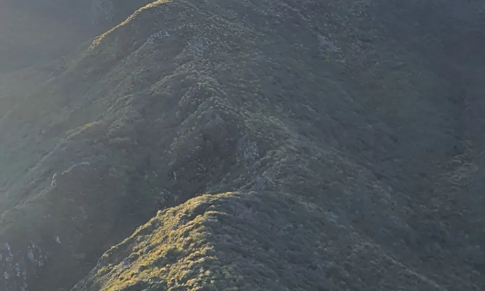 Herepai, Dundas, Cattle Ridge Loop, Manawatu - Wanganui
