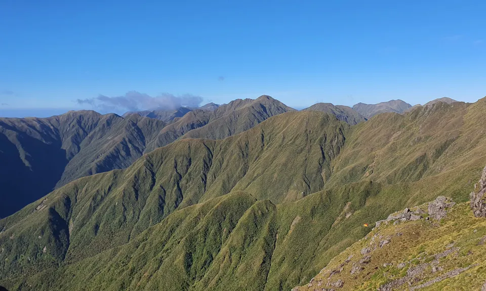 Herepai, Dundas, Cattle Ridge Loop, Manawatu - Wanganui