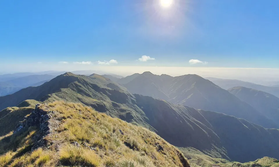 Herepai, Dundas, Cattle Ridge Loop, Manawatu - Wanganui