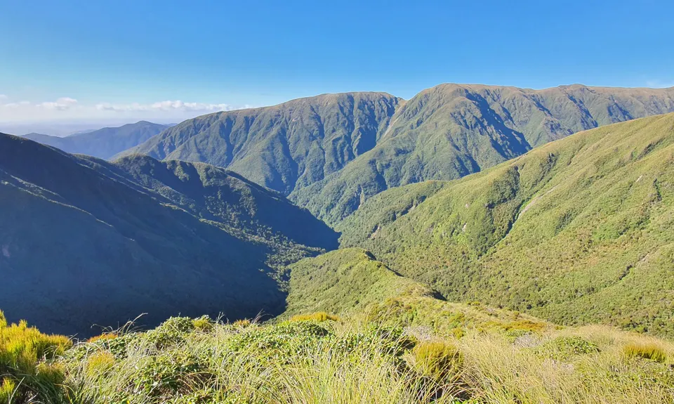 Herepai, Dundas, Cattle Ridge Loop, Manawatu - Wanganui