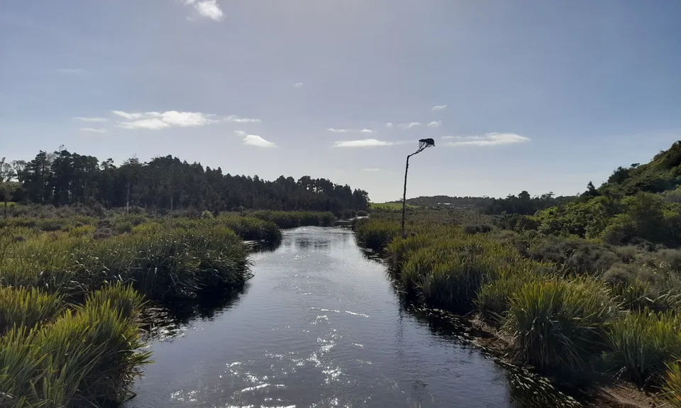 Mahinapua Walkway, West Coast