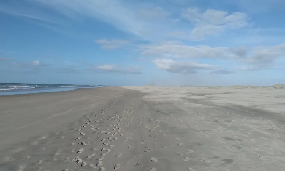 Farewell Spit Loop, Tasman