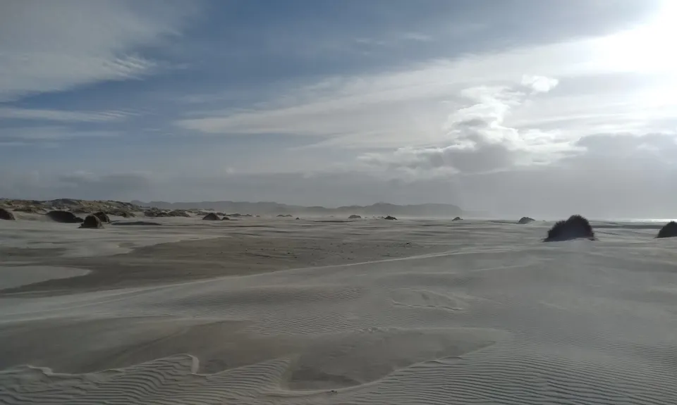 Farewell Spit Loop, Tasman