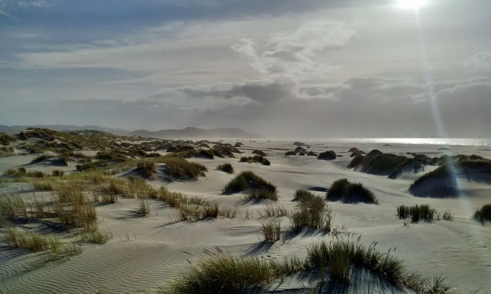 Farewell Spit Loop, Tasman