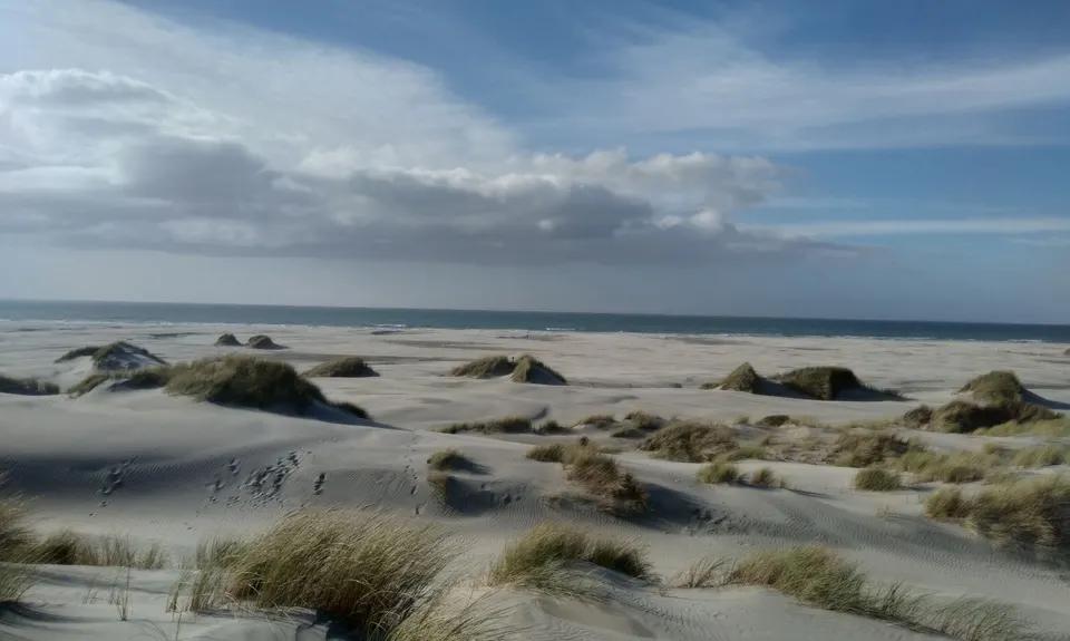 Farewell Spit Loop, Tasman