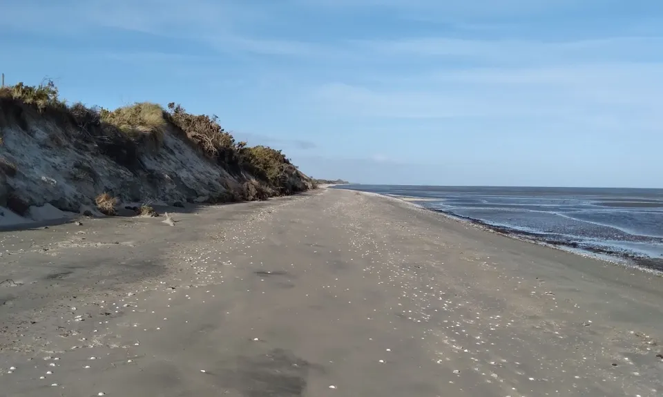 Farewell Spit Loop, Tasman