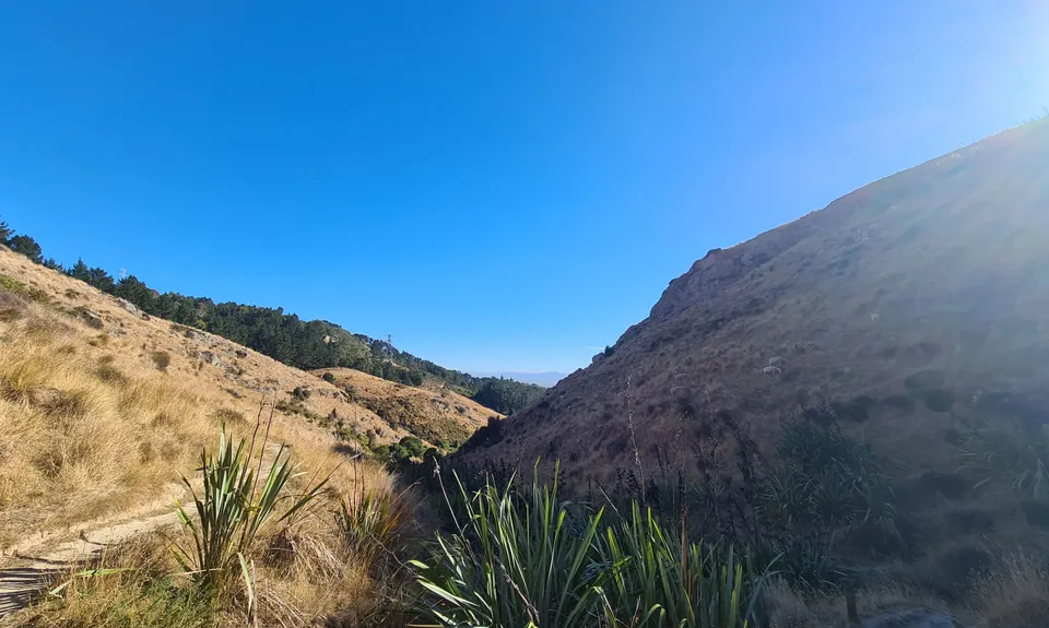 Bowenvale / Huntsbury Loop, Canterbury