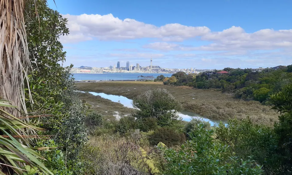 Northcote Trails, Auckland