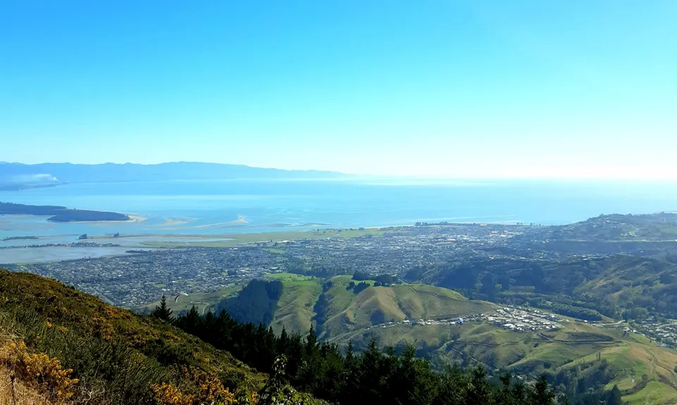 Involution Loop, Nelson