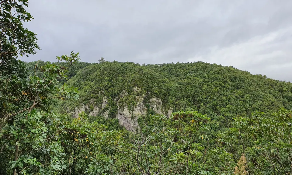 Great Lake Trail Loop, Waikato