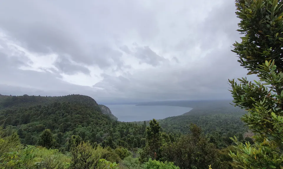 Great Lake Trail Loop, Waikato