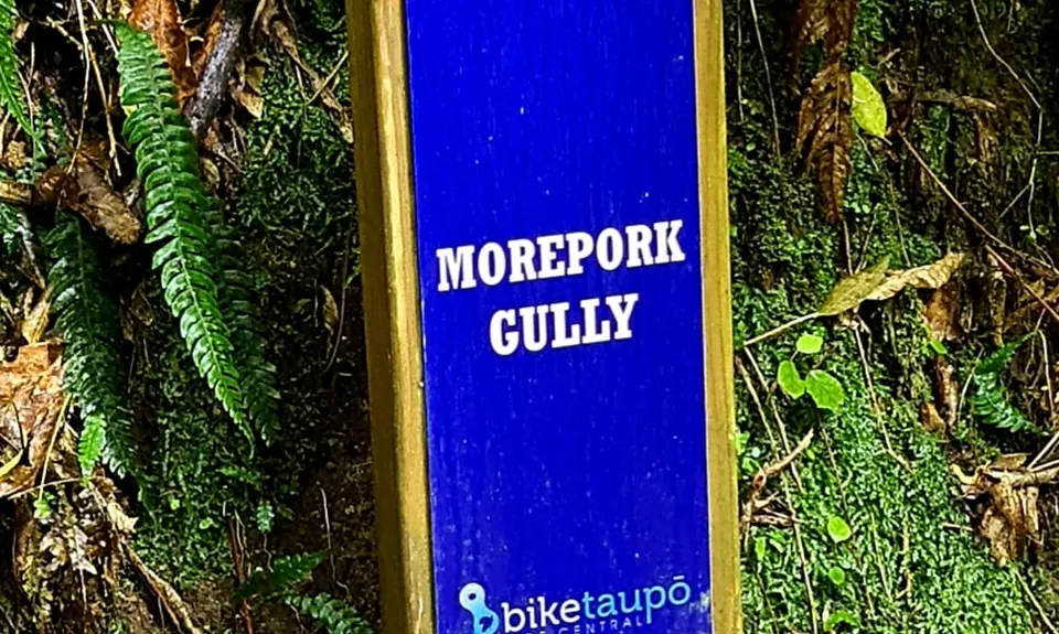 Great Lake Trail Loop, Waikato