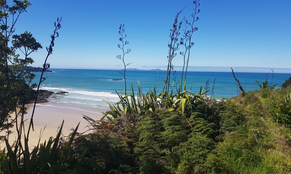 Whananaki Coastal Track, Northland