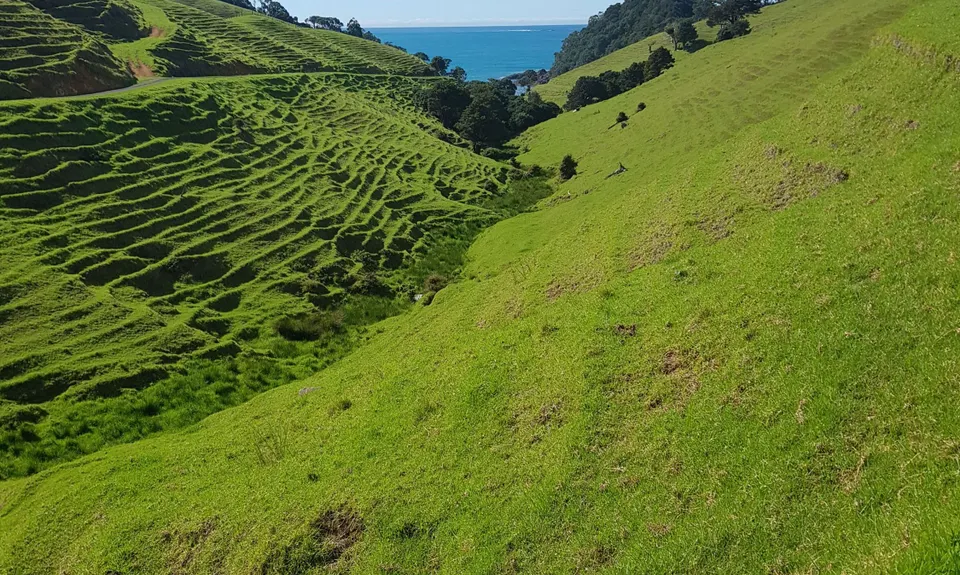 Whananaki Coastal Track, Northland