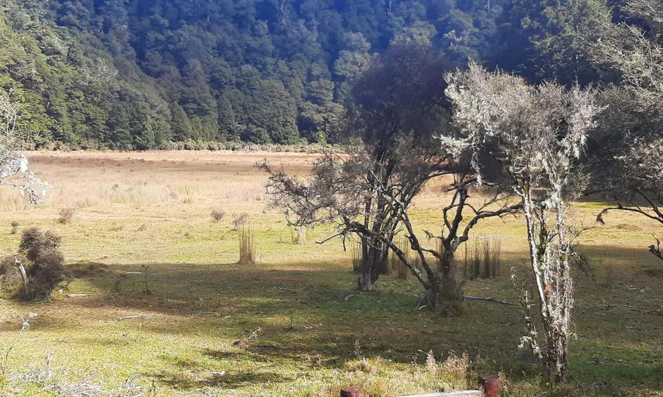 Waikareiti/Ruapani Circuit, Hawkes Bay