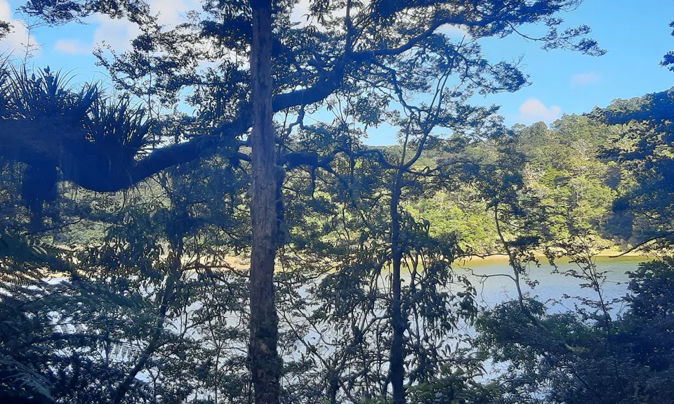 Waikareiti/Ruapani Circuit, Hawkes Bay