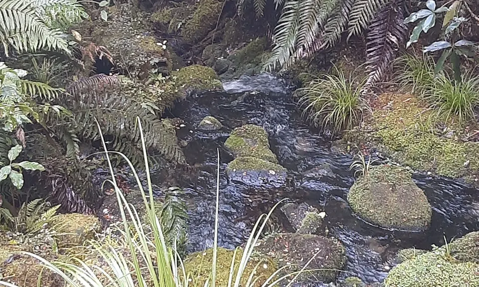 Waikareiti/Ruapani Circuit, Hawkes Bay