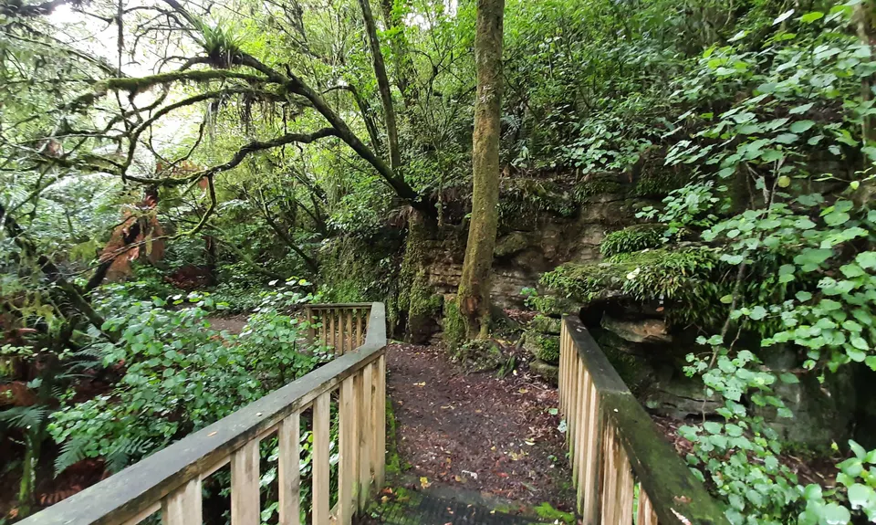 Waitomo Wander, Waikato