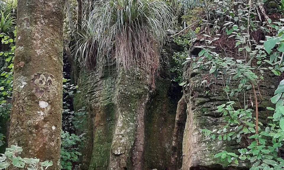 Waitomo Wander, Waikato