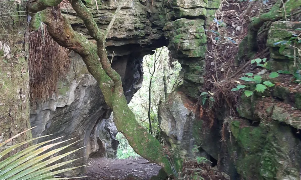 Waitomo Wander, Waikato