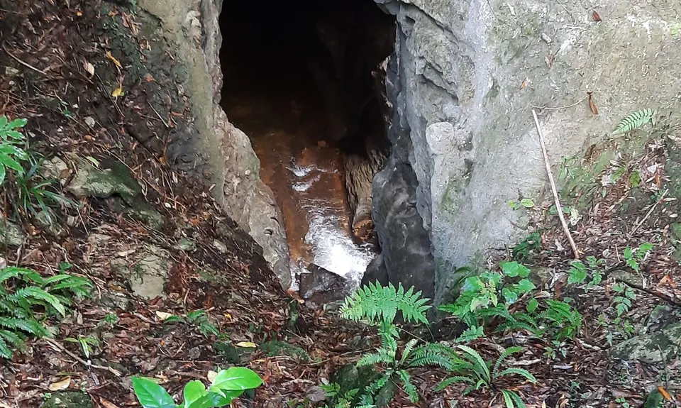 Waitomo Wander, Waikato