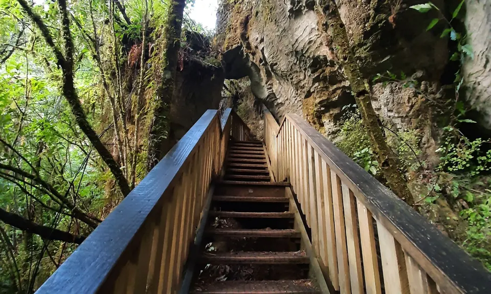 Waitomo Wander, Waikato