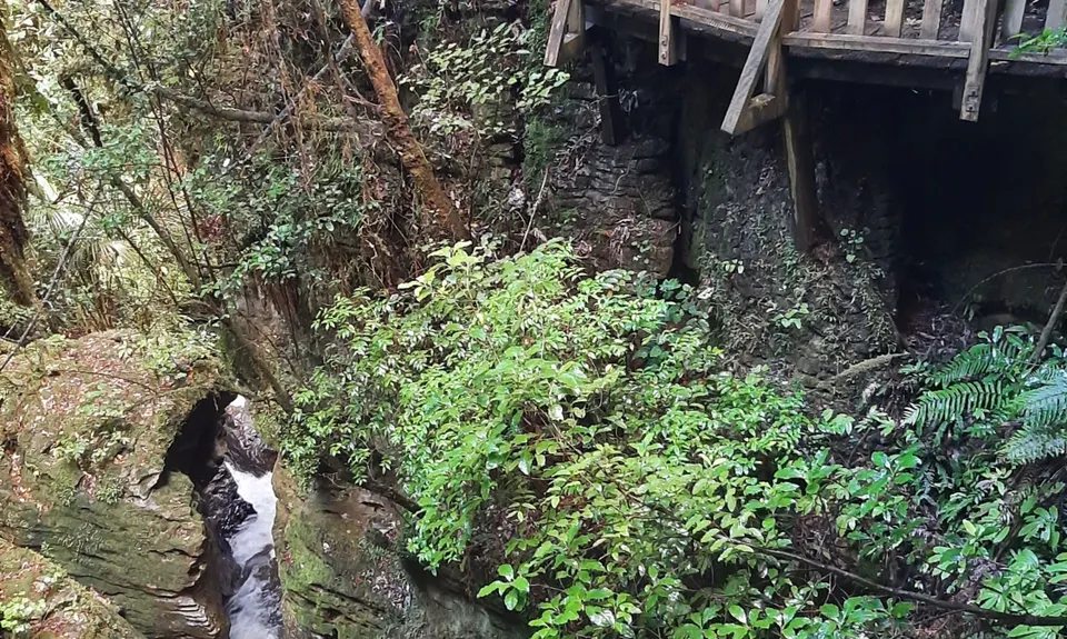 Waitomo Wander, Waikato
