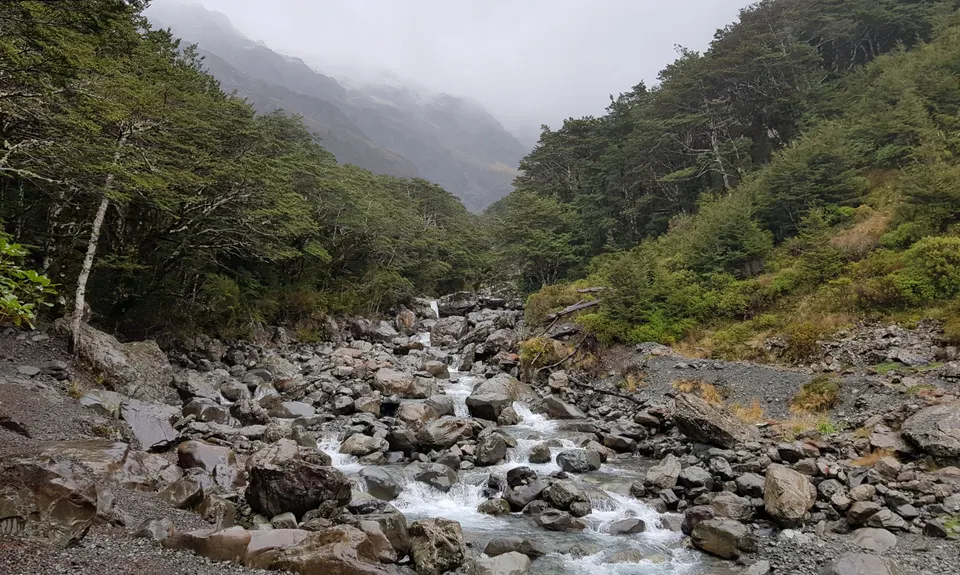 Arthur's Pass Taster, Canterbury