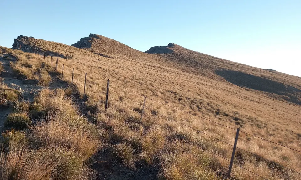 Breast Hill Blast, Otago