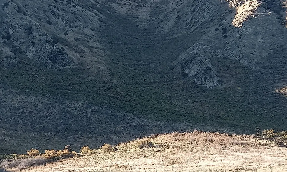 Breast Hill Blast, Otago