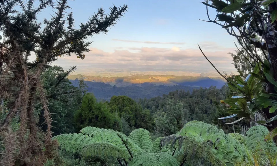 Ngatapuwae , Waikato
