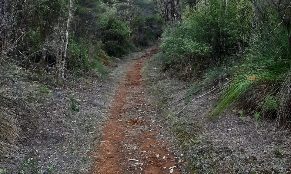Ngatapuwae , Waikato