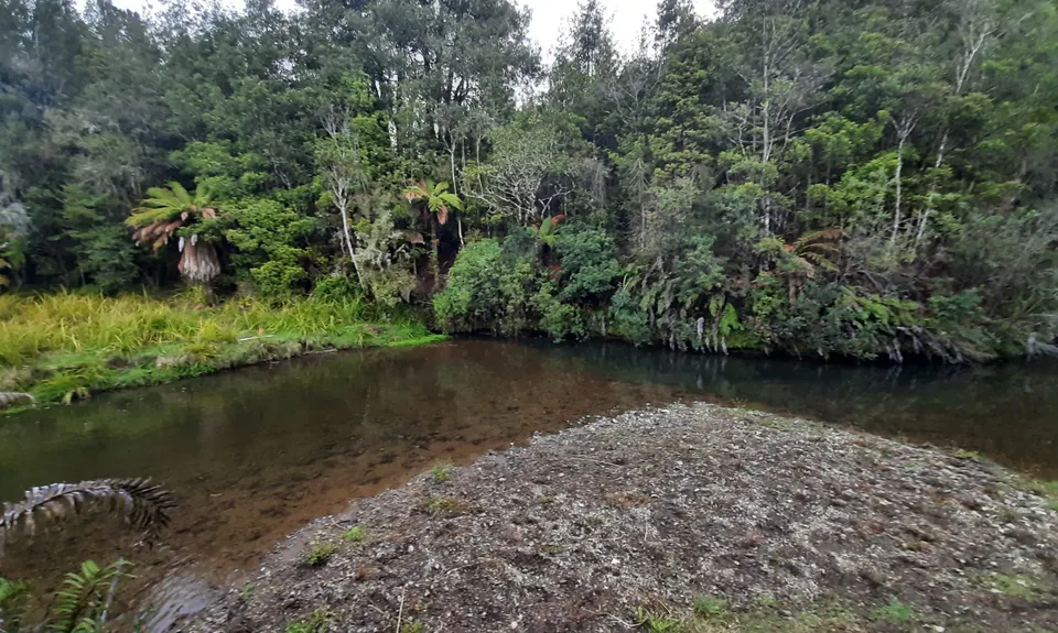 Ngatapuwae , Waikato