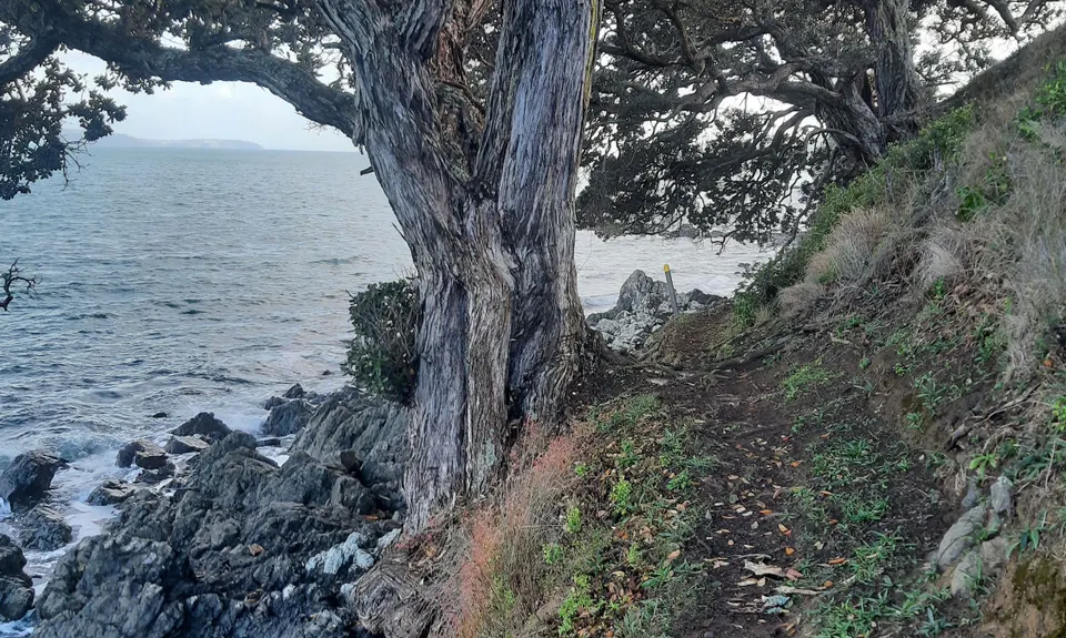 Mudbrick Loop, Auckland