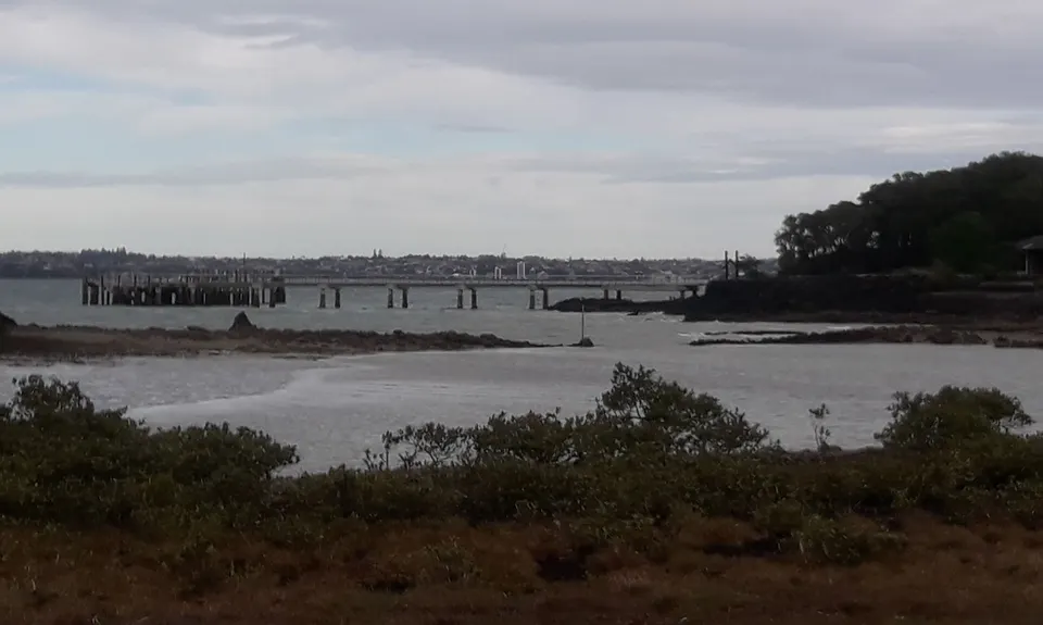 Western Rangitoto, Auckland